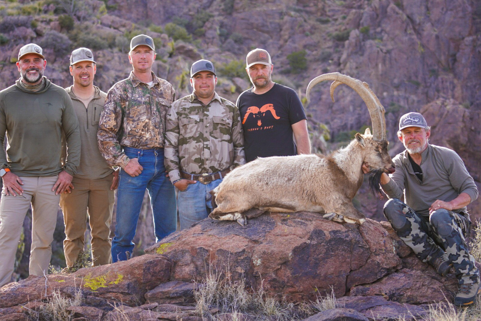 Ibex hunt