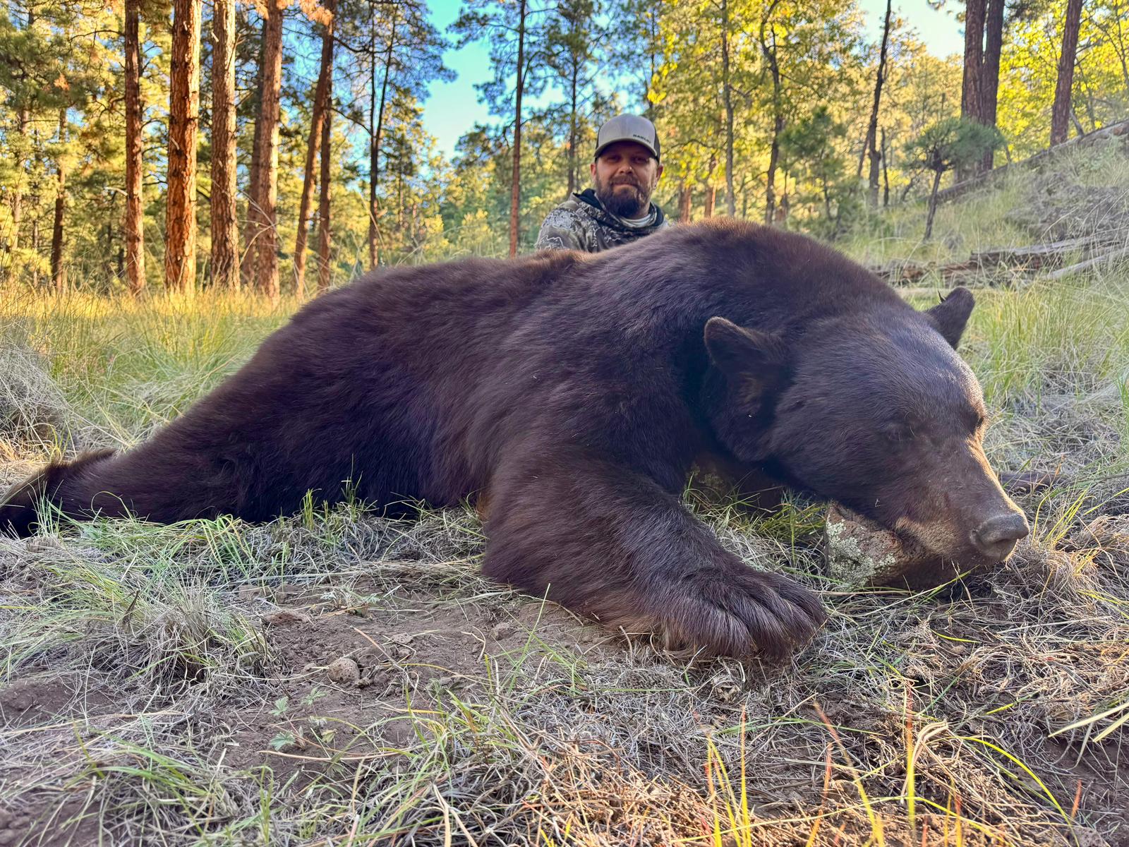 Bear hunt