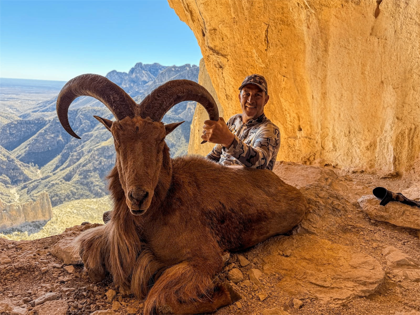 Aoudad hunt