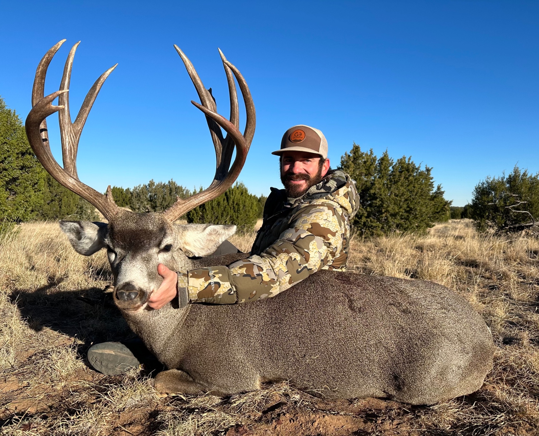 Mule Deer hunt