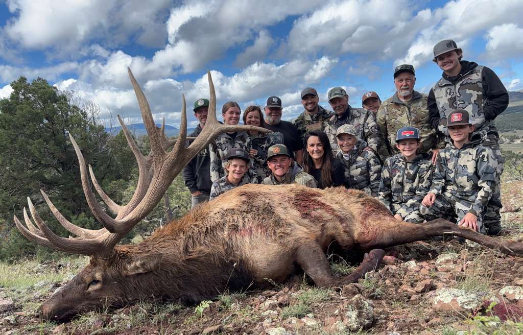 Elk hunt